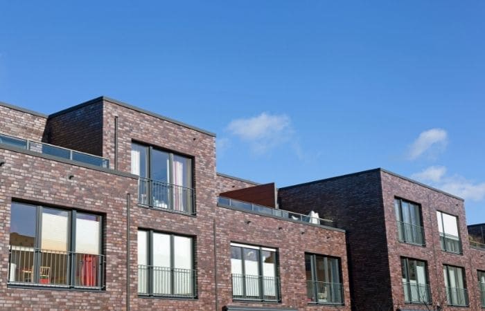 Umzug mit Haustieren in Kiel: Wie Katze, Hund und Kaninchen den Wohnungswechsel gut überstehen